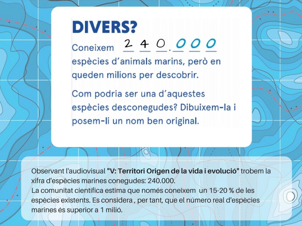 Pissarra Divers